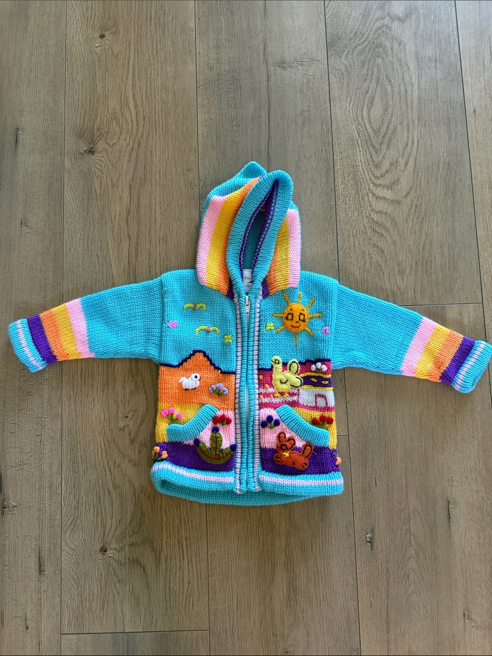 Storybook Sweater Light Blue Size 0 (12 months) Hooded Zip Sun Animal Appliqué